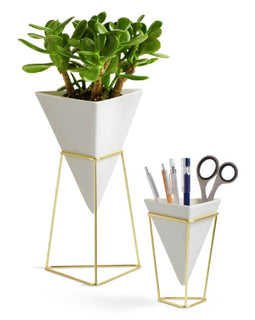 Large Planter or organizer