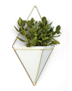 Large Planter or organizer
