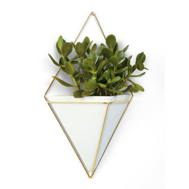 Large Planter or organizer
