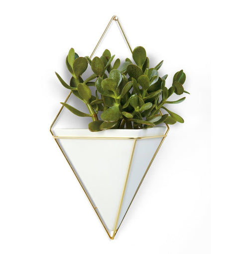 Large Planter or organizer
