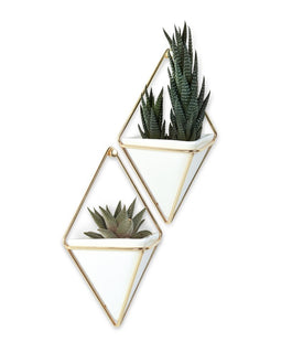 Small Planters (Set of two included) or organizer