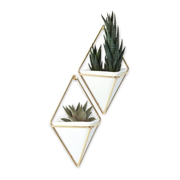 Small Planters (Set of two included) or organizer