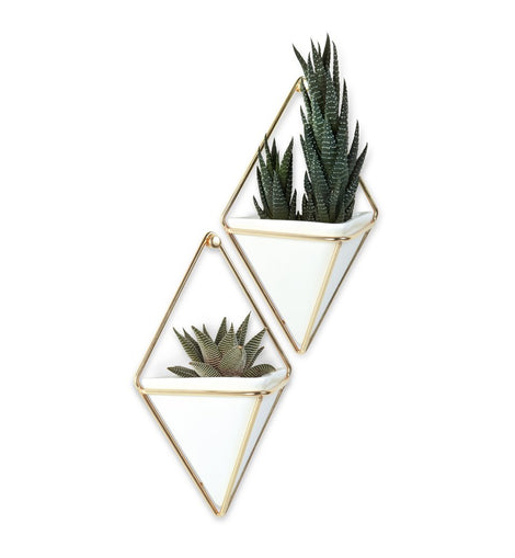 Small Planters (Set of two included) or organizer